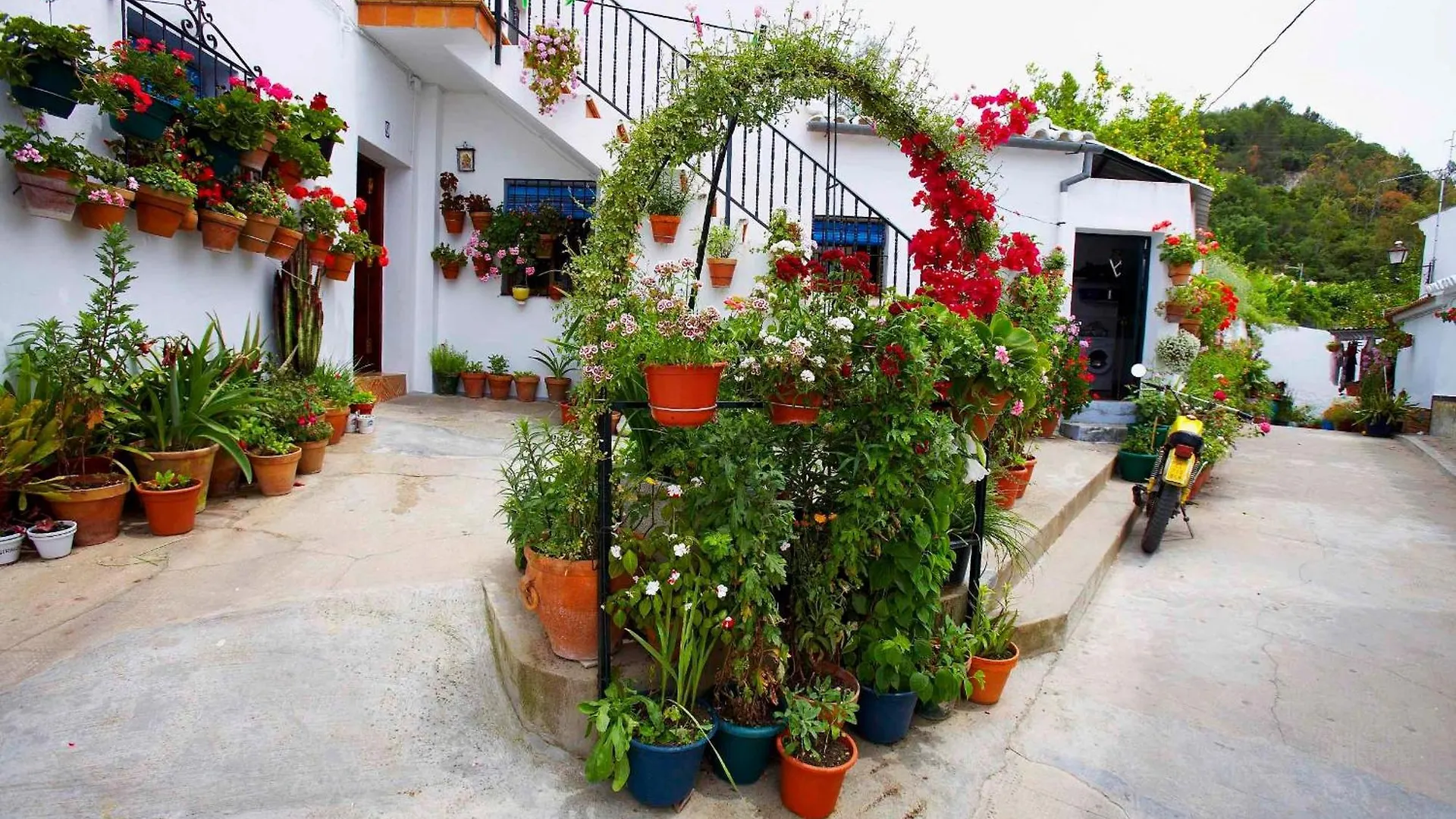 Casa Rural Rafael Alberti El Bosque